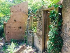 -东天目山风景区