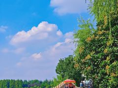 -石湖景区