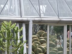-深圳仙湖植物园