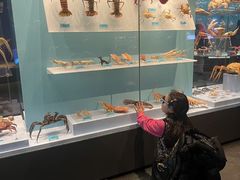 -天津自然博物馆