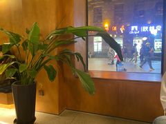 -仁义涵西餐·咖啡(中华巴洛克店)