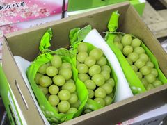 -海吉星市场