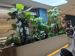 -悦海·家宴·冰花皮皮虾大锅贴(宝龙店)