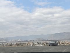 -北岐滩涂