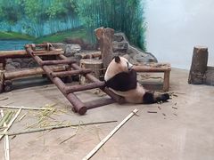 -杭州动物园