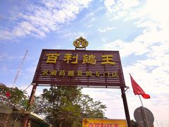 -百利鸽王(紫薇路店)