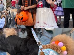 -华谊兄弟（长沙）电影小镇