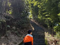-蔡伦竹海