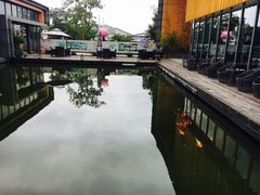 -田园东方蜜桃村的田野营地