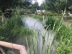 -武汉紫薇都市田园