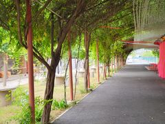-河北村民俗体验园