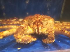 -江杨农产品批发市场