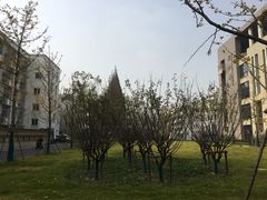 -上海对外经贸大学(古北校区)