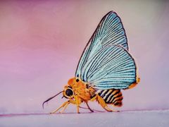 -中国湿地博物馆