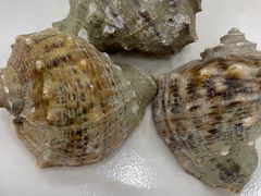 -春园海鲜广场D区6号(钟姐海鲜加工店)