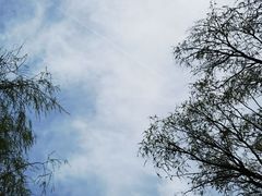 -野鸭湖国家湿地公园