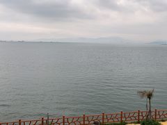 -七鲜渔港美食餐厅(巽寮湾海景店)