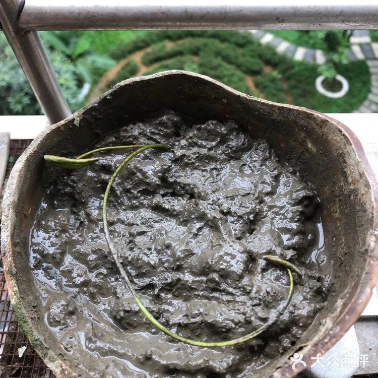 碗莲的简易种植