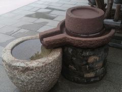 -顺德了能馆(虎门店)