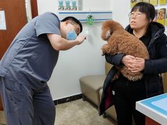 -美联众合动物医院·24h转诊中心