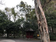 -桂林独秀峰王城景区