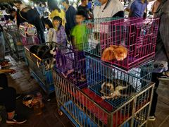 -中北世纪城夜市小吃街CENURY CITY