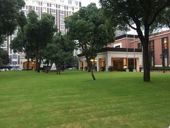 点击看大图 -锦江饭店·锦江小礼堂·宴会厅