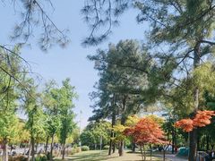 -美兰湖景区