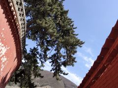 -五台山风景区