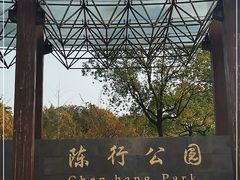 -陈行公园