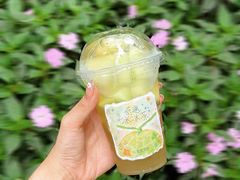 -茶理宜世(乐峰广场·尝乐集店)