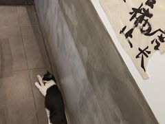 -原田新料理(1912店)