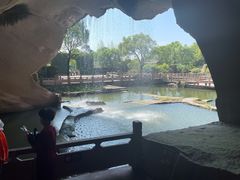 -蛇蟠岛