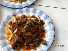 -大理地热国