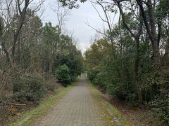 -上海海湾国家森林公园