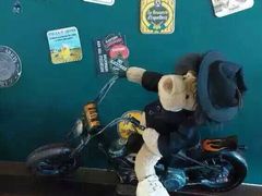 -济州岛泰迪熊博物馆