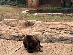 -海南热带野生动植物园