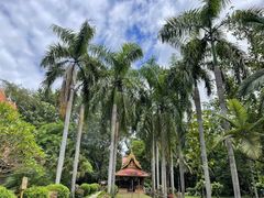 -西双版纳傣族园