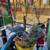 70元与小动物亲密接触
