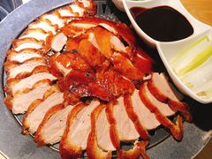 -守柴炉烤鸭(科华中路王府井店)