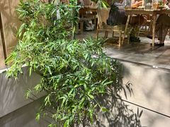 -本处·素食·融合料理(南油店)