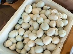 -真真鲜馄饨店(启蒙路店)