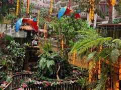 -正佳雨林生态植物园