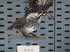 -浙江自然博物院(杭州馆)