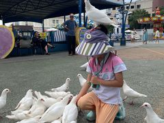 -烟台海昌鲸鲨海洋公园