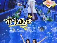 -南昌海洋公园