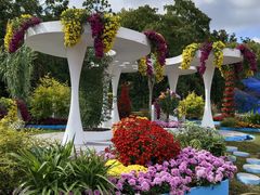 -上海共青森林公园