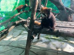 -常州淹城野生动物世界