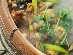 水鱼走地鸡煲-永利炭炉鸡