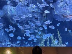 -渔火·特色餐厅(佘山世茂洲际酒店)